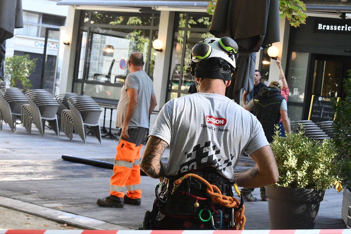 ARBRE GRANVELLE BESANCON 2