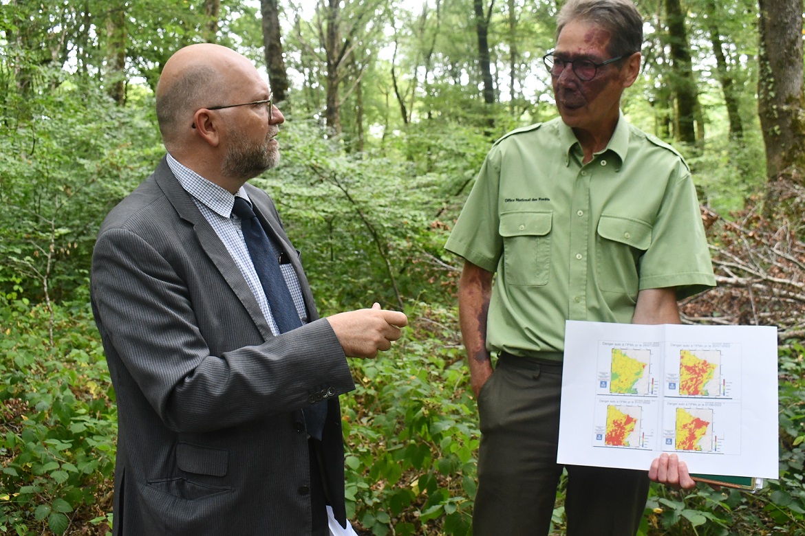 FEU DE FORET INCENDIE 2