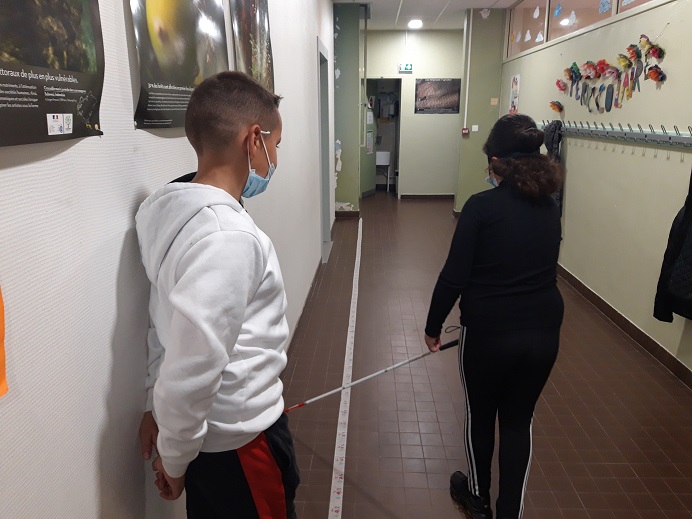 clairs soleils handicap 3 DD