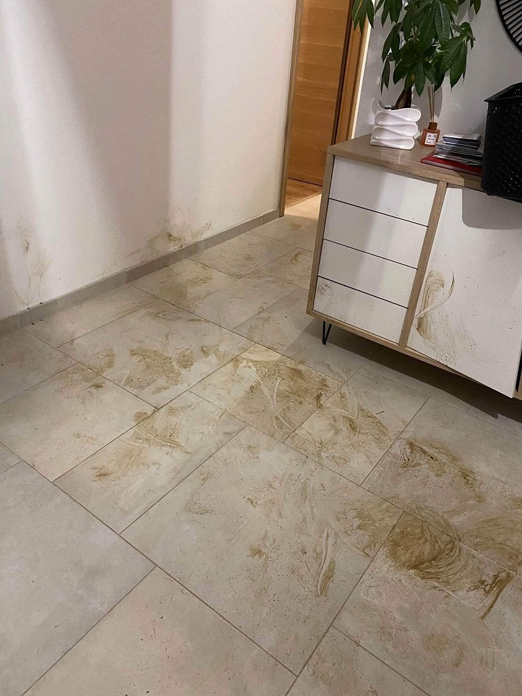 sanglier christophe 2