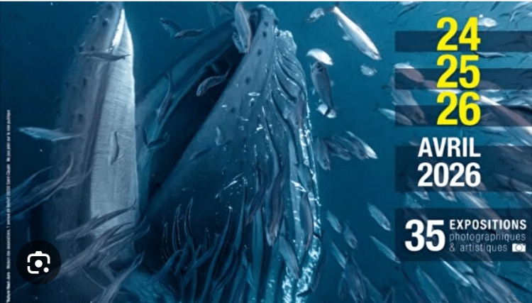 Saint‑Claude : le FINA revient pour sa 6e &eacute;dition