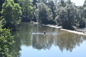 Rivières comtoises : conférence gesticulée à Pontarlier