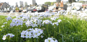 Toussaint : La ville de Besançon s’occupe de ses cimetières