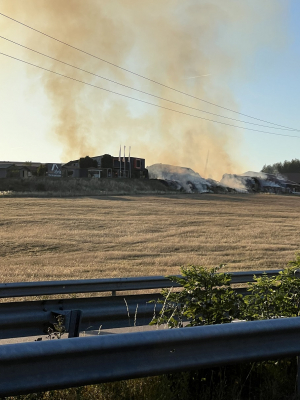 Feux de forêt : le point sur la situation dans le Jura
