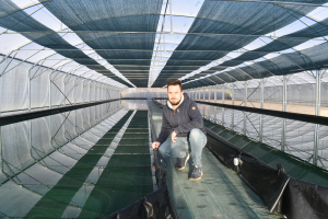 La culture de la spiruline, une cyanobactérie riche pour l&#039;organisme