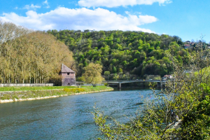 Besançon : Une enquête sur les espaces verts, la santé et le bien-être