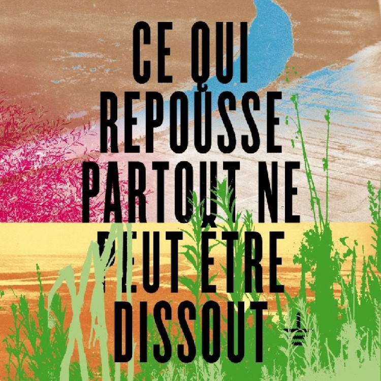 Politique : Opposés à la dissolution des &quot;Soulèvements de la Terre&quot;