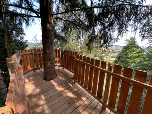 Destination &quot;Métabief Aventures&quot;, pour profiter pleinement de l&#039;été !