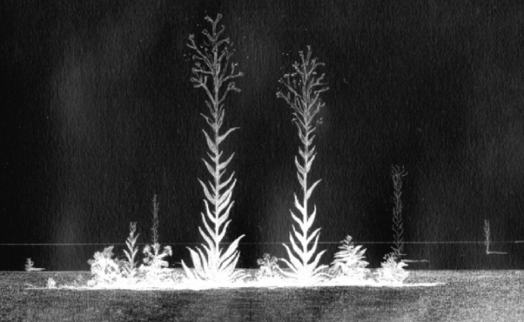 Besançon / Exposition : « Etonner la catastrophe » au FRAC