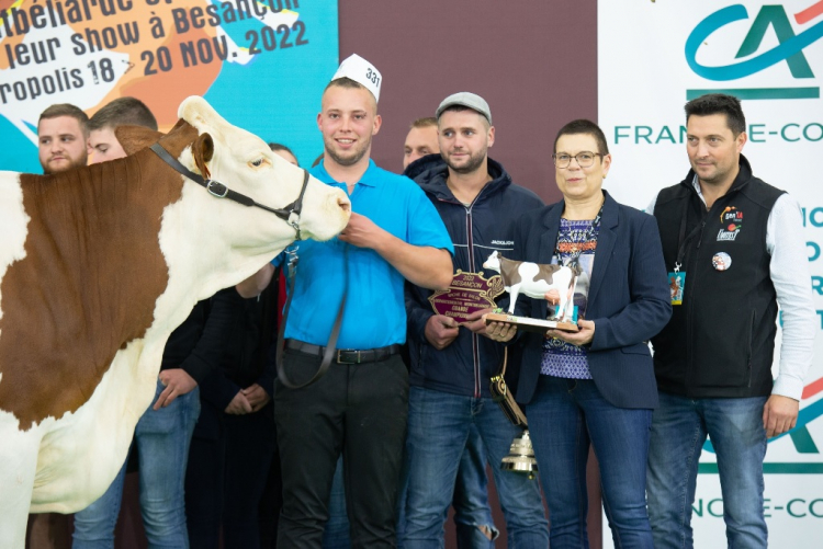 Maîche : Naf Naf, reine de vache de salon à Micropolis