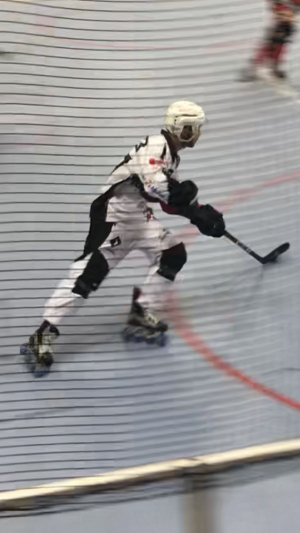 Besançon / Roller Hockey : Défaite des Griffons à Toulouse