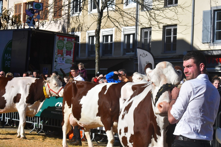 Soutien du sénateur Longeot à l’inscription des comices agricoles du Doubs au patrimoine culturel immatériel français