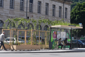 Besançon : Deux arrêts de bus végétalisés pour protéger des fortes chaleurs