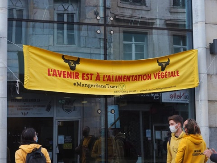 Besan&ccedil;on : audience en appel pour deux militantes d'Animal Rebellion le 30 juin