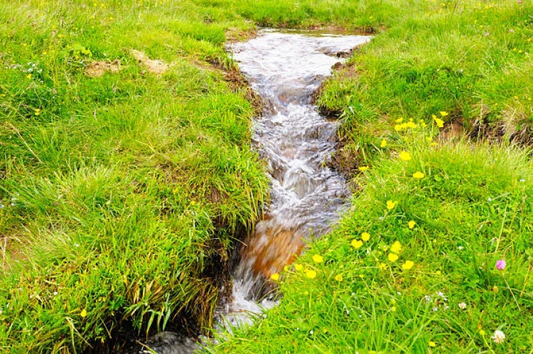 France : 48% des nappes phréatiques au-dessus des normales de saison au 1er décembre dernier
