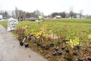 Besançon : Des arbres fruitiers pour l&#039;avenir
