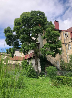 Photo : Olivier Chiodi