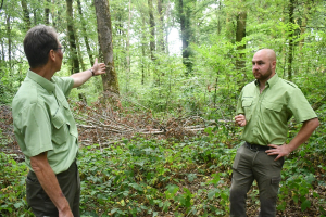 Feux de forêt : Appel à la vigilance dans le département du Doubs