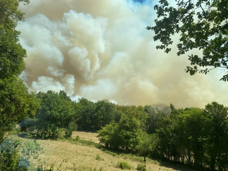 Doubs : le risque de feux de for&ecirc;t passe au niveau orange