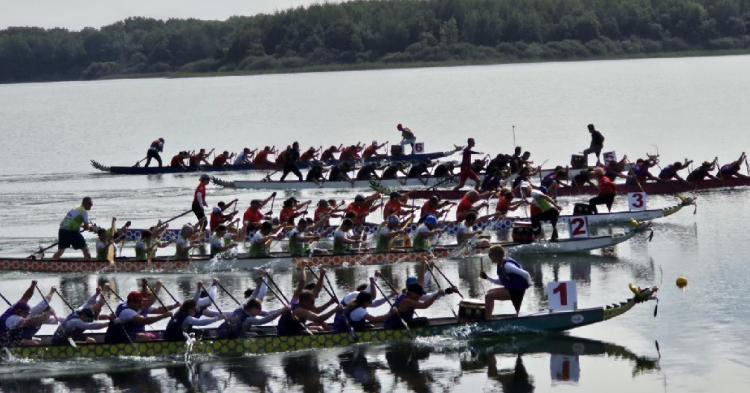 Besançon : la SNB remporte la Coupe de France de Dragon Boat