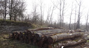 Photo : Ville de Besançon