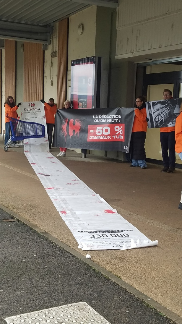 Carrefour Chalezeule ciblé par L214 : 330 000 animaux tués chaque jour