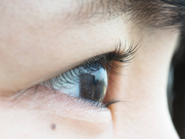 Une formation en orthoptie à la rentrée 2025 à Besançon et Dijon