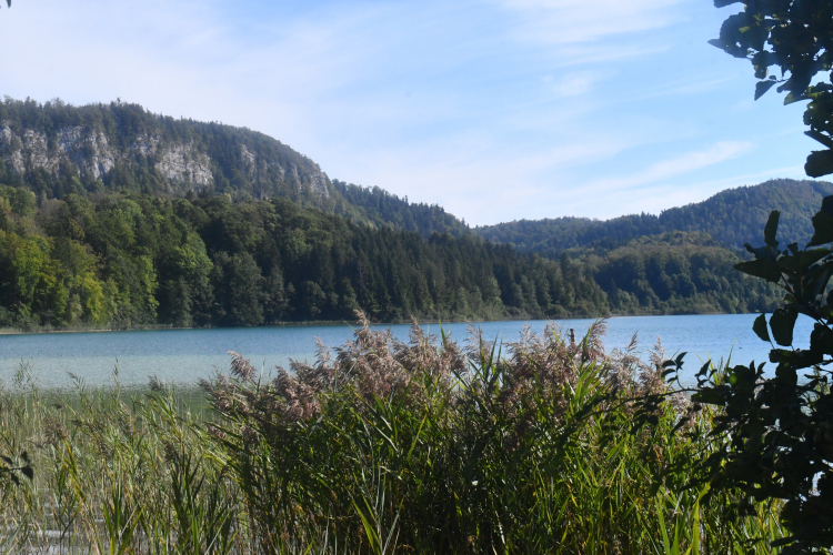 Le Jura, un département qui séduit