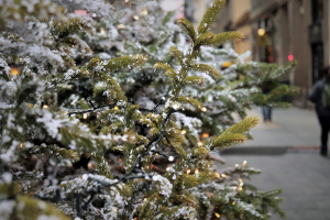La vente des sapins de Noël, une tradition qui se perpétue