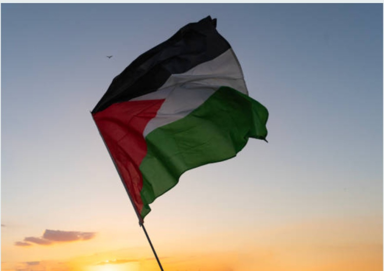 Nouvel appel &agrave; manifester pour la Palestine ce samedi &agrave; Besan&ccedil;on