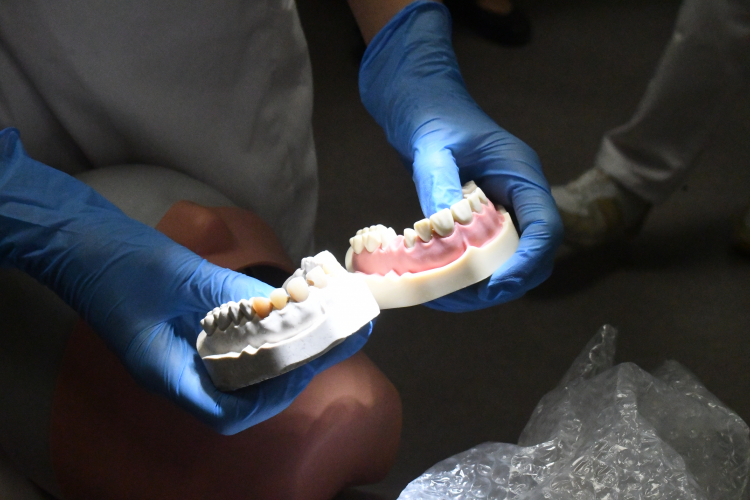 Inauguration de la nouvelle filière odontologie à Besançon