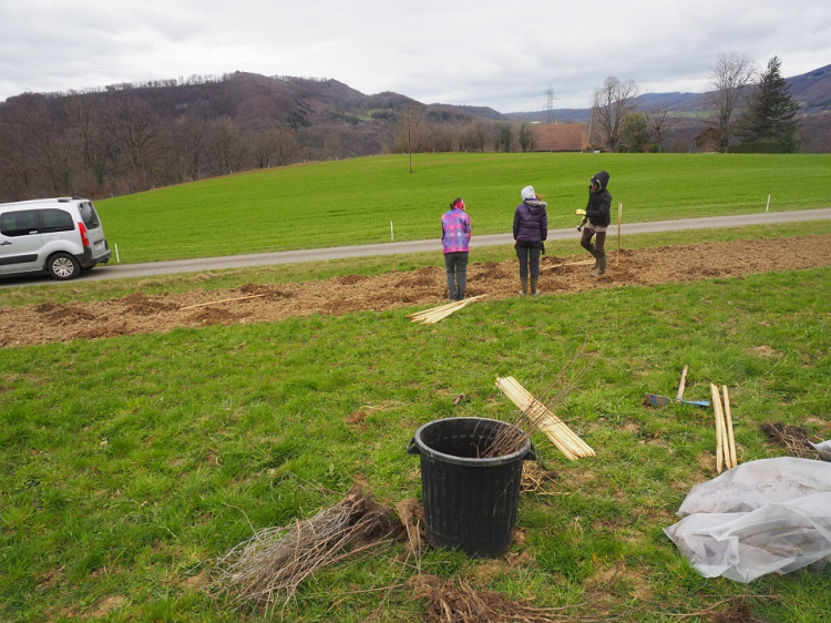 Le Parc naturel régional du Doubs Horloger va replanter 20.000 arbres