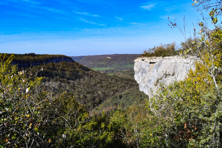 Réserves naturelles de France fête ses 40 ans dans le ravin de Valbois