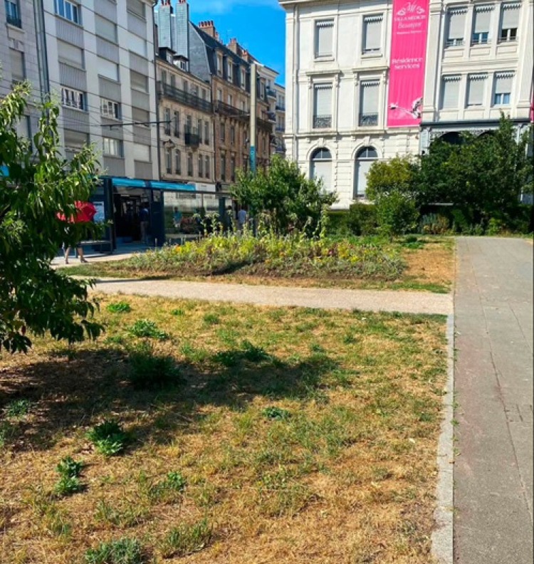 Besan&ccedil;on : S&eacute;verine V&eacute;zi&egrave;s d&eacute;nonce la gestion des espaces verts en p&eacute;riode de canicule
