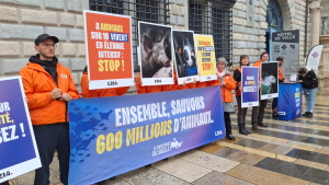 Municipales &agrave; Besan&ccedil;on : L214 rappelle les engagements des candidates signataires