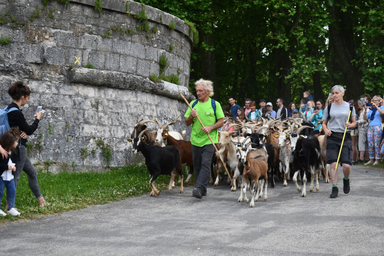 Besançon : fête de la biodiversité