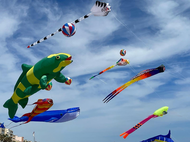 21ème édition du Festival du Cerf-Volant à Pontarlier