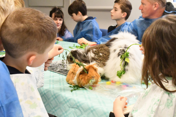 CHU Minjoz : Des animaux en pédiatrie, une expérience insolite de médiation animale