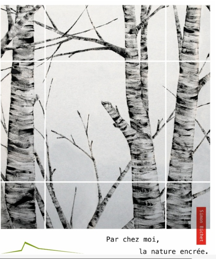 L&rsquo;encre &agrave; fleur de nature : Simon Bichet expose &agrave; la Maison de la R&eacute;serve