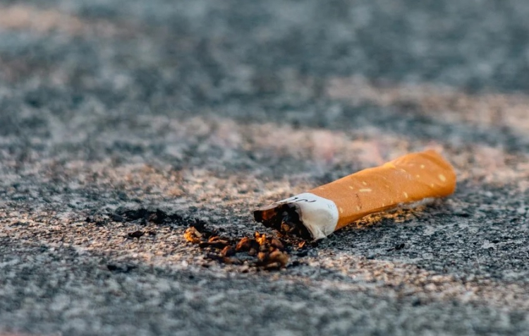 Besan&ccedil;on mobilis&eacute;e contre les m&eacute;gots abandonn&eacute;s