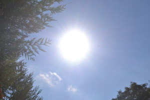 Canicule : le Doubs passe en vigilance rouge, des restrictions imm&eacute;diates d&eacute;cid&eacute;es