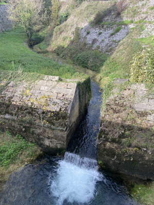 Une étude de restauration lancée au profit du ruisseau de la Mouillère à Besançon