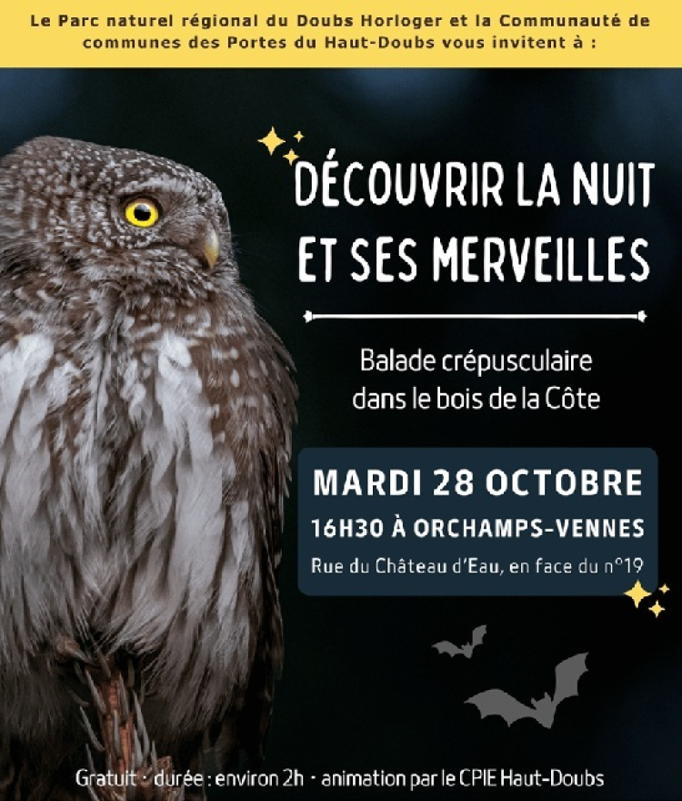 Nature : sortie nocturne à Orchamps Vennes