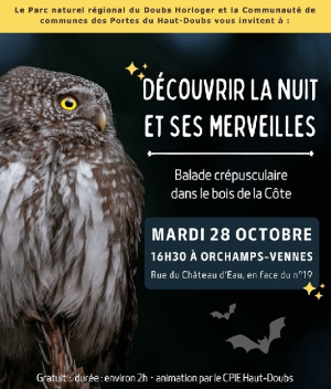 Nature : sortie nocturne à Orchamps Vennes