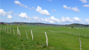 Eoliennes sur le plateau de Nozeroy : Réaction des élus