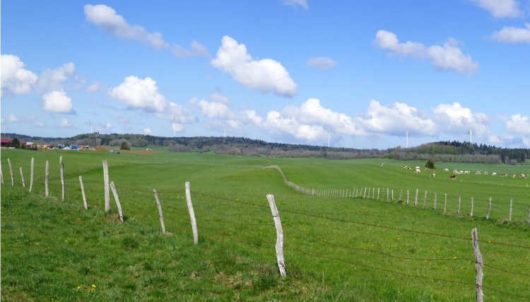 Eoliennes sur le plateau de Nozeroy : Réaction des élus