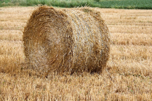 Crise agricole, logement, action sociale : le Jura ajuste son budget et prépare l’avenir