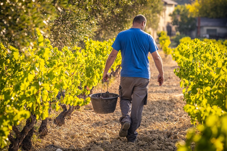 Jougne : les rencontres vigneronnes, le rendez-vous de l’amitié et du partage depuis 30 ans