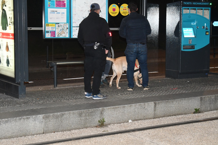 Société / trafic de drogue : une hausse du nombre d&#039;interpellés en 2023