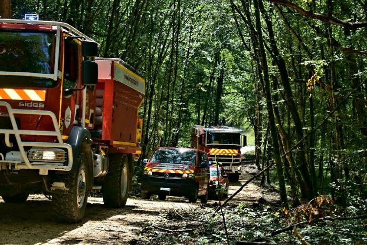 Canicule : le Jura en vigilance jaune « feux de forêt »